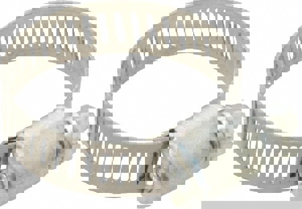Worm Gear Clamp: SAE 10, 1/2 to 1-1/16
